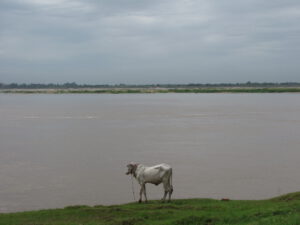 Mekong